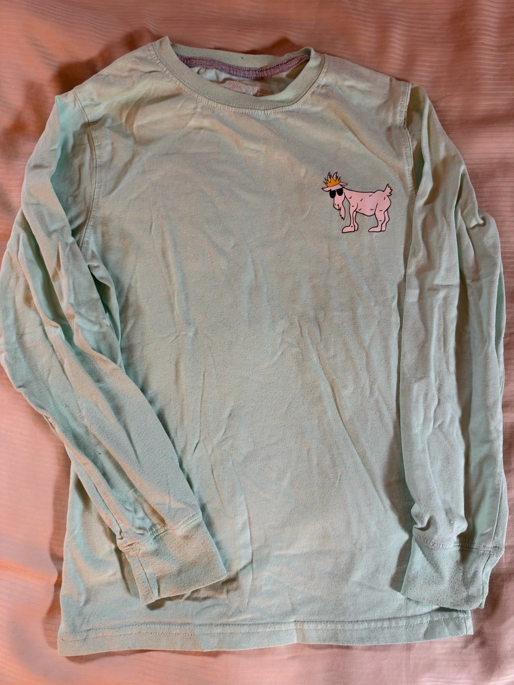 GOAT Kids Long-Sleeve Graphic Tee in Mint